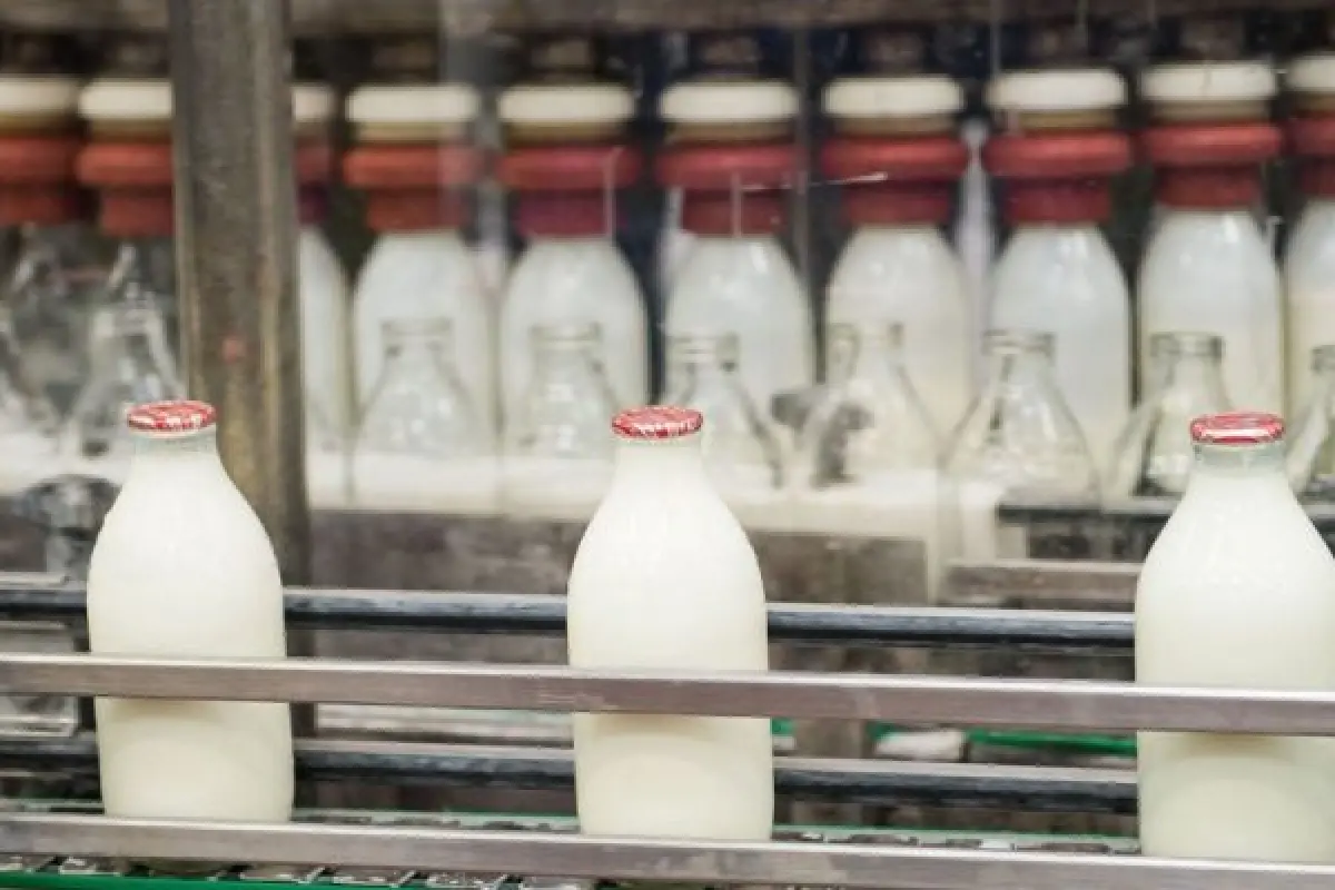 milk 900x400 1