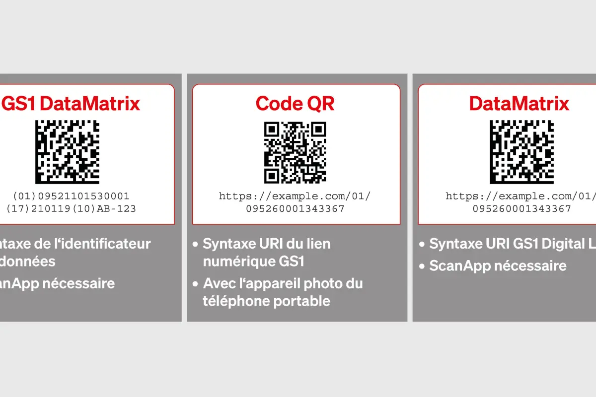 Grafik 2D Code Varianten französisch