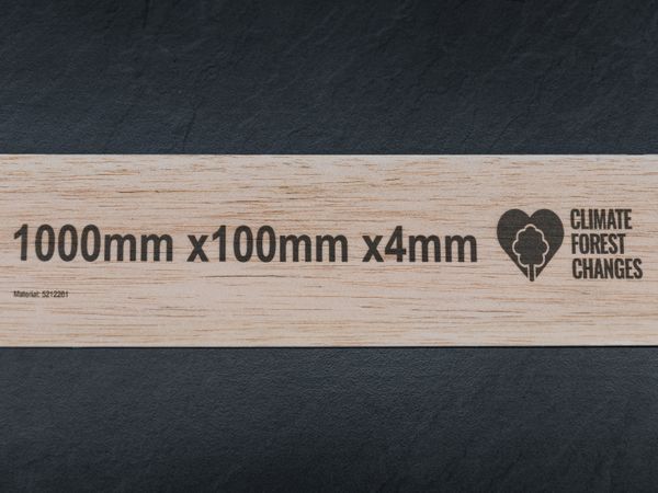Houten lijst bedrukt met Markoprint inkjetprinter